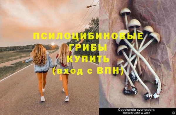 Альфа ПВП Алексин
