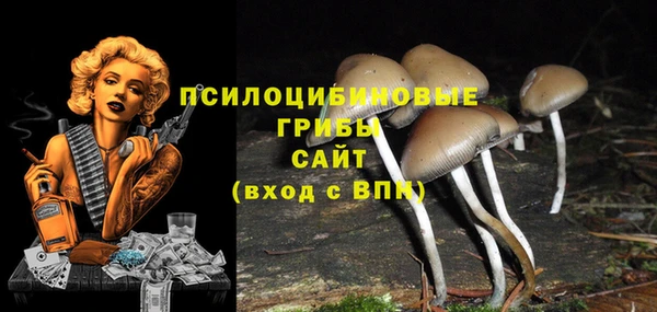 ешки Алексеевка